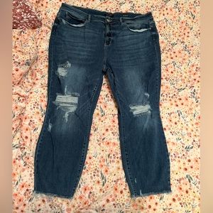 Judy Blue skinny jeans size 24